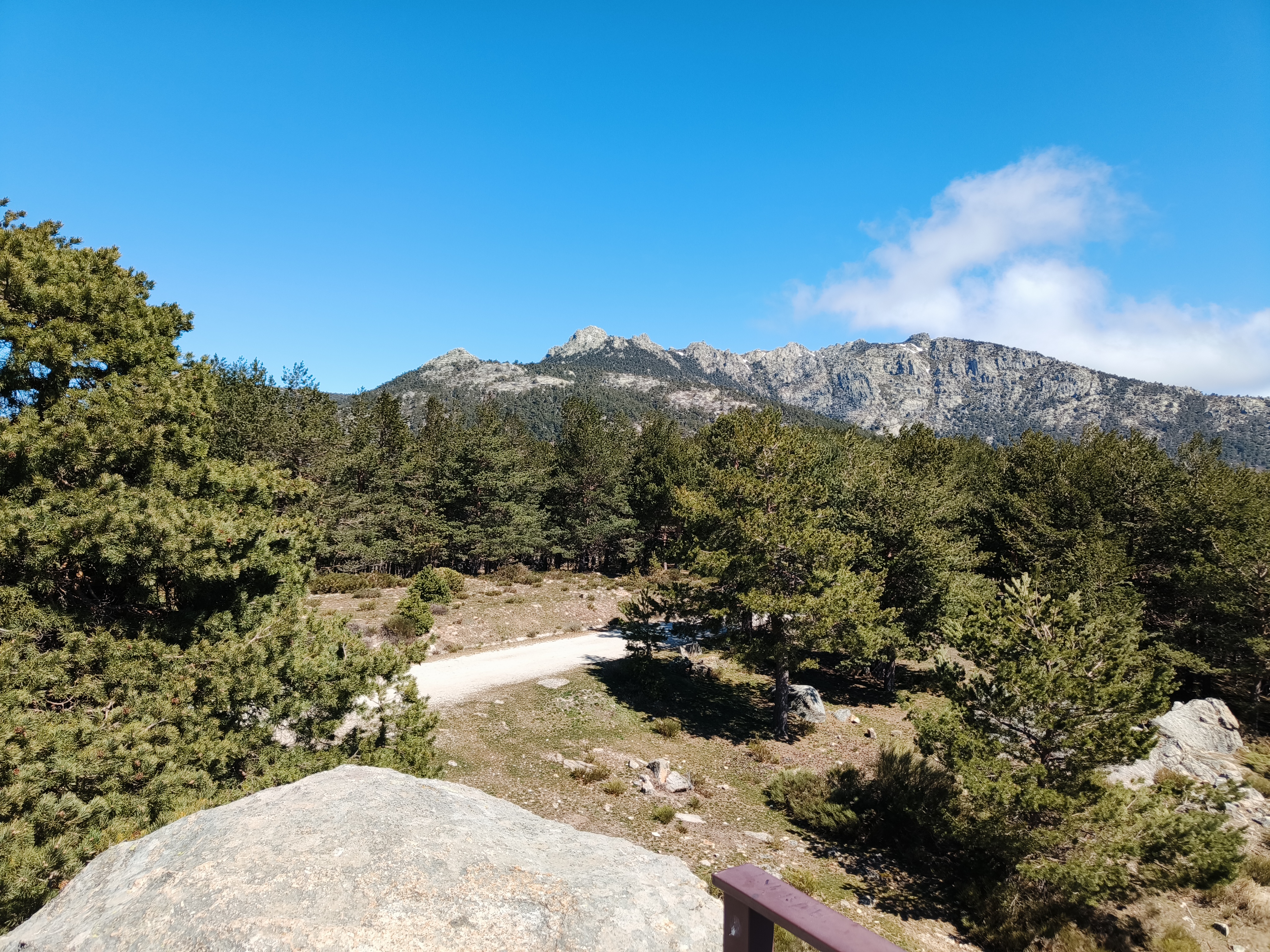 Bosque de Cercedilla